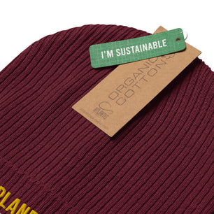 Plane Spotter Organic Ribbed Beanie